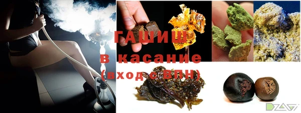 твердый Бородино