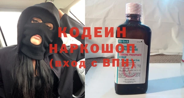 твердый Бородино