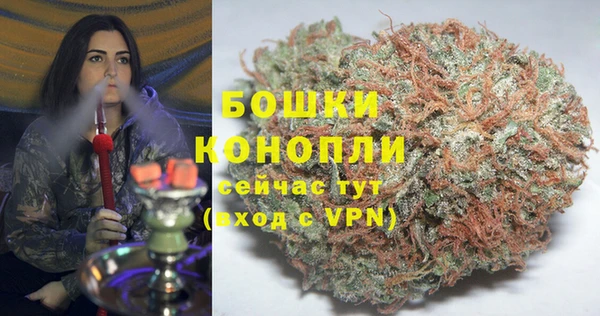 твердый Бородино