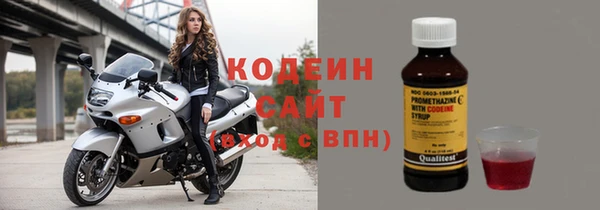 твердый Бородино