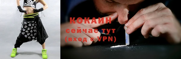 амф Бронницы