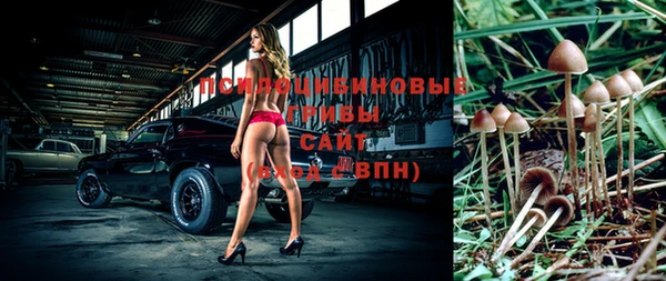 амф Бронницы