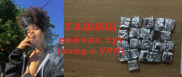 твердый Бородино