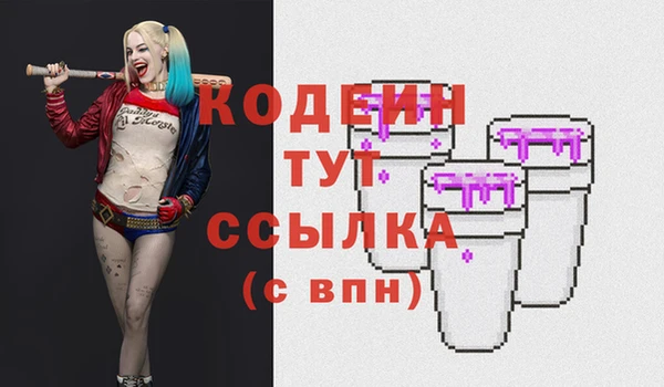 твердый Бородино