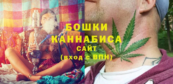 твердый Бородино